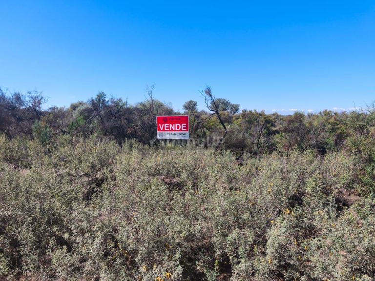 Finca en Venta en Lavalle, Mendoza
