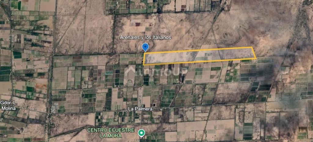 Finca en Venta en Lavalle, Mendoza