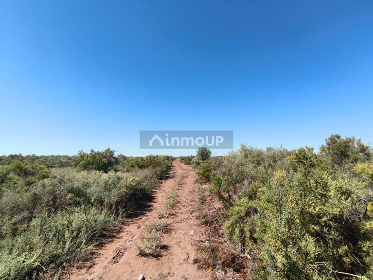 Finca en Venta en Lavalle, Mendoza