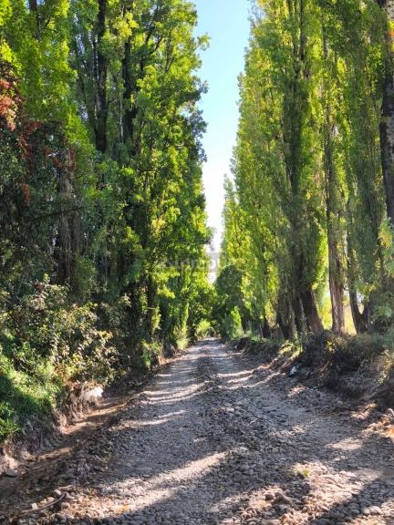 Lote en Venta en Lujan de Cuyo, Mendoza