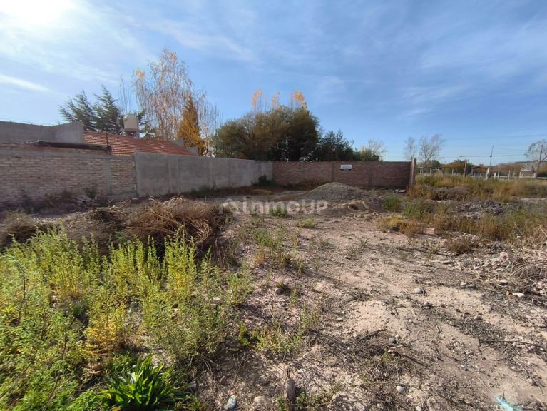 Lote en Venta en Lujan de Cuyo, Mendoza