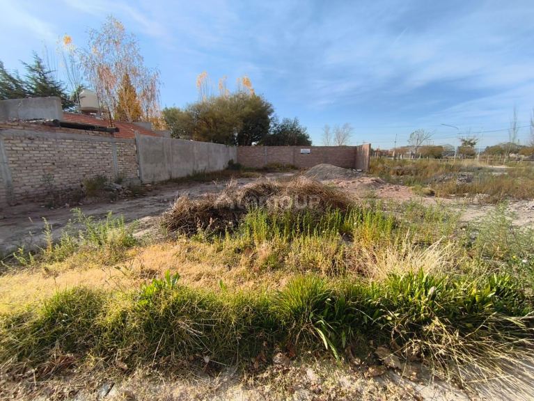 Lote en Venta en Lujan de Cuyo, Mendoza