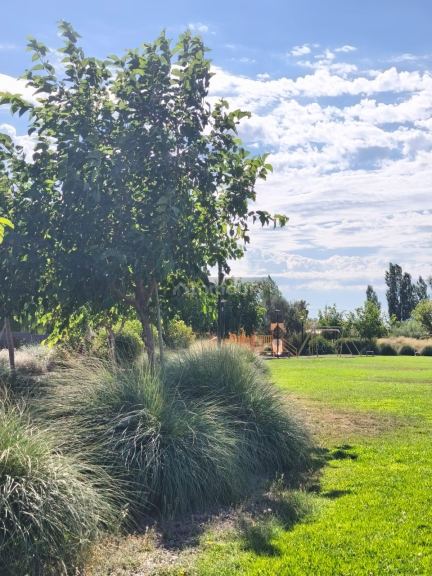 Lote en Venta en Lujan de Cuyo, Mendoza - USD 54.000 | Inmoup - 6