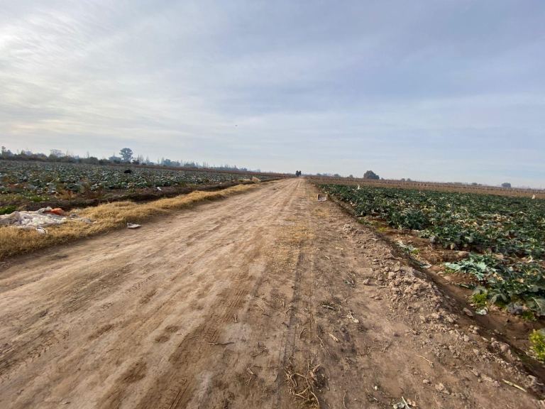 Finca en Venta en San Martin, Mendoza
