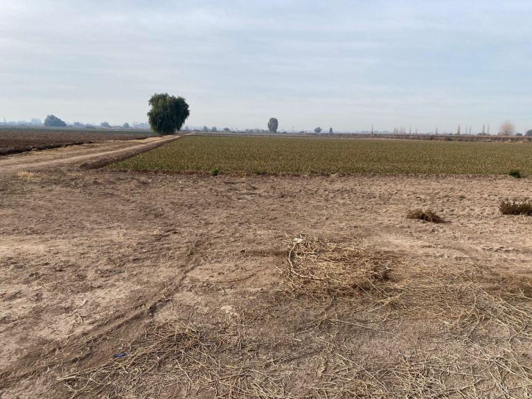 Finca en Venta en San Martin, Mendoza