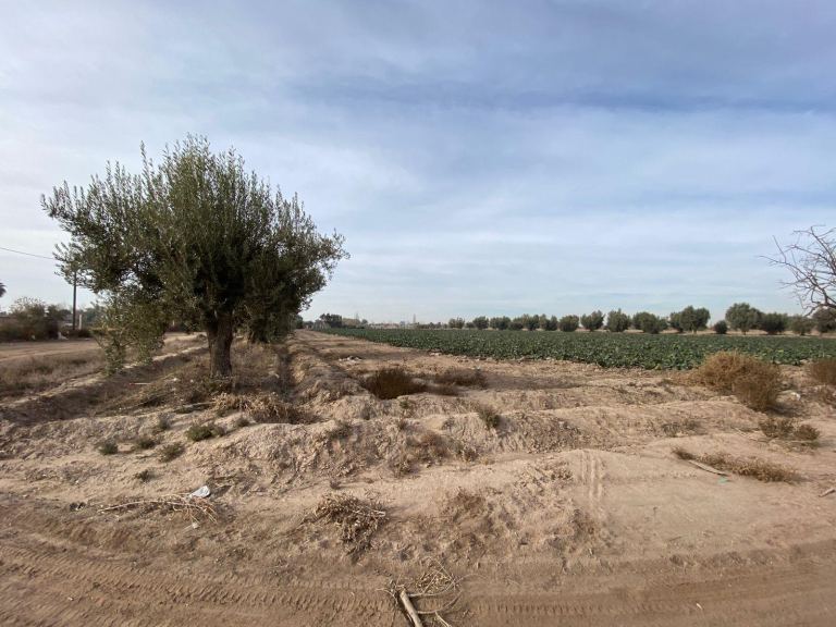 Finca en Venta en San Martin, Mendoza