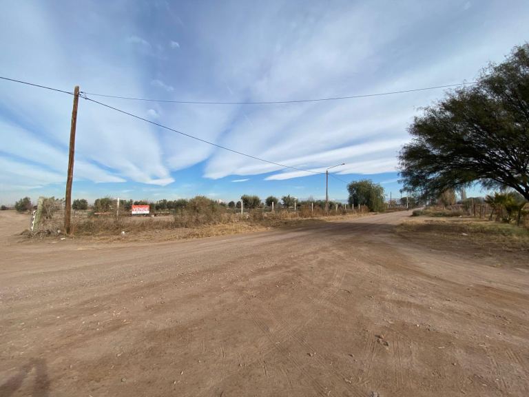 Finca en Venta en San Martin, Mendoza