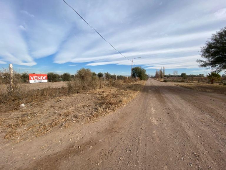Finca en Venta en San Martin, Mendoza
