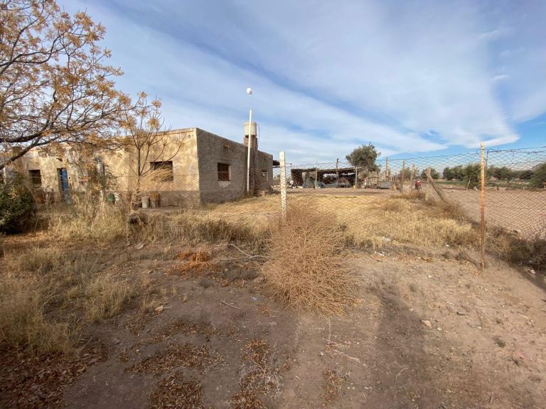 Finca en Venta en San Martin, Mendoza