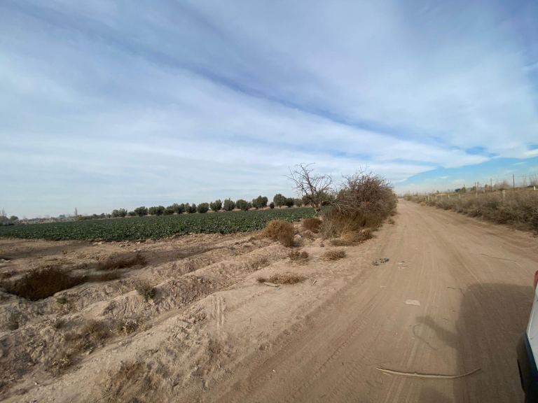 Finca en Venta en San Martin, Mendoza