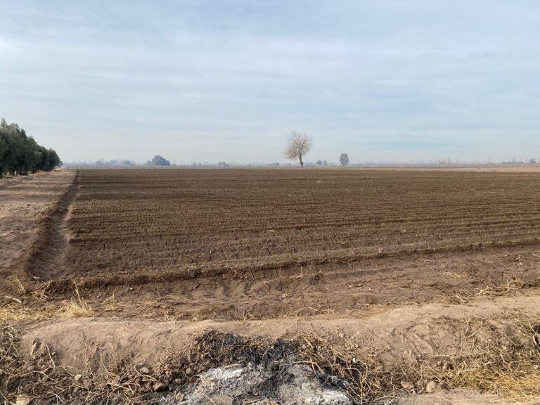 Finca en Venta en San Martin, Mendoza
