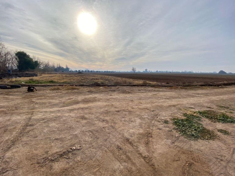 Finca en Venta en San Martin, Mendoza