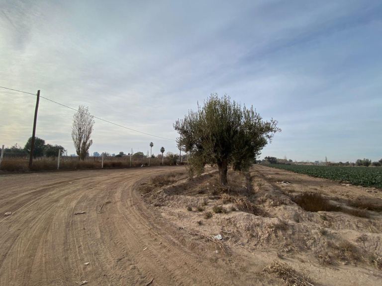Finca en Venta en San Martin, Mendoza