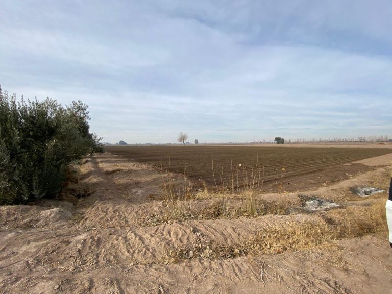 Finca en Venta en San Martin, Mendoza