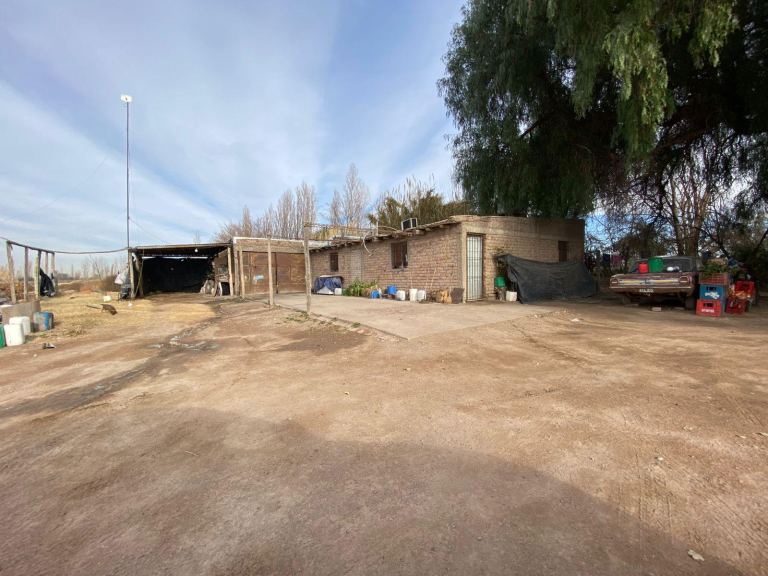 Finca en Venta en San Martin, Mendoza