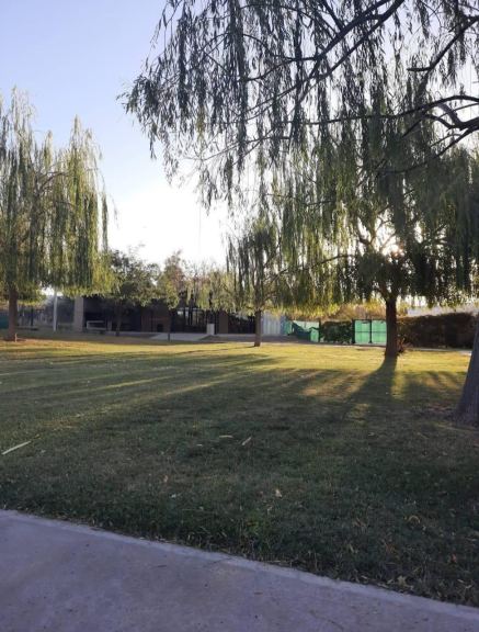Lote en Venta en San Martin, Mendoza