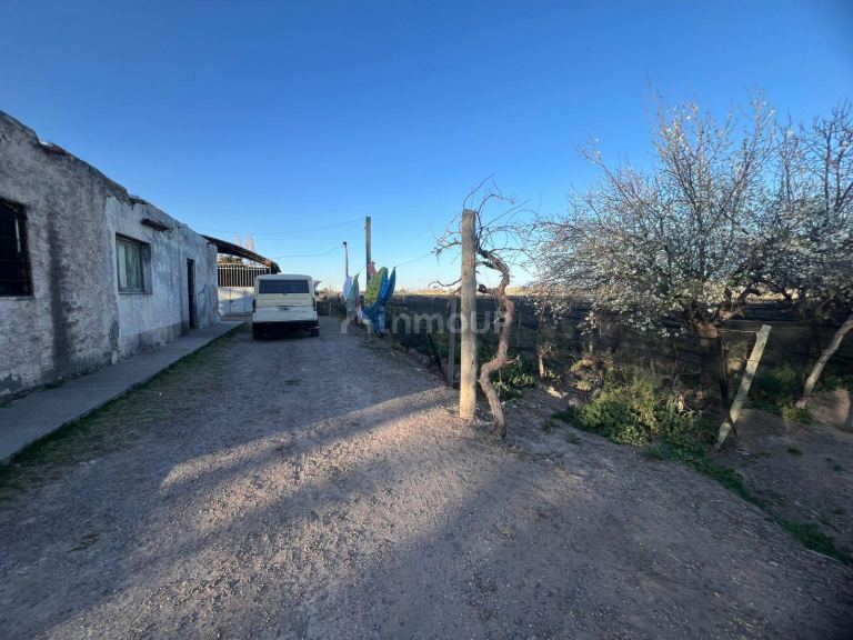 Finca en Venta en Junin, Mendoza
