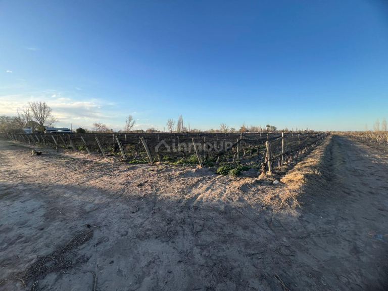 Finca en Venta en Junin, Mendoza