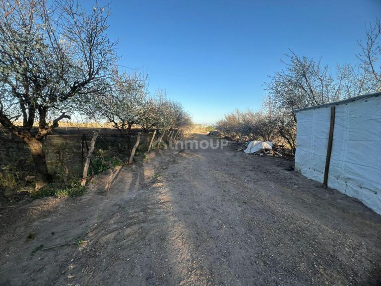 Finca en Venta en Junin, Mendoza