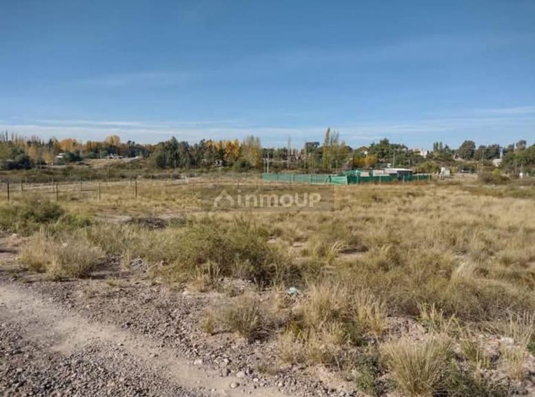 Lote en Venta en Lujan de Cuyo, Mendoza