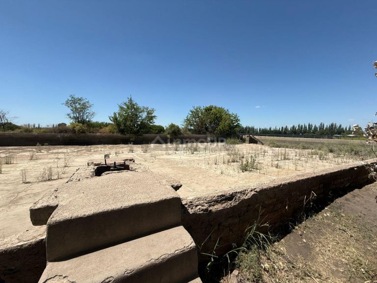 Finca en Venta en Junin, Mendoza