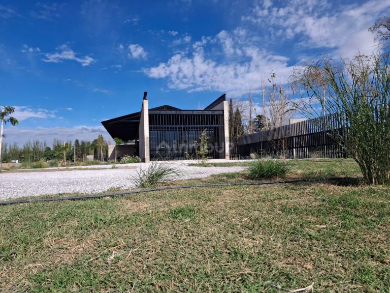 Lote en Venta en Lujan de Cuyo, Mendoza