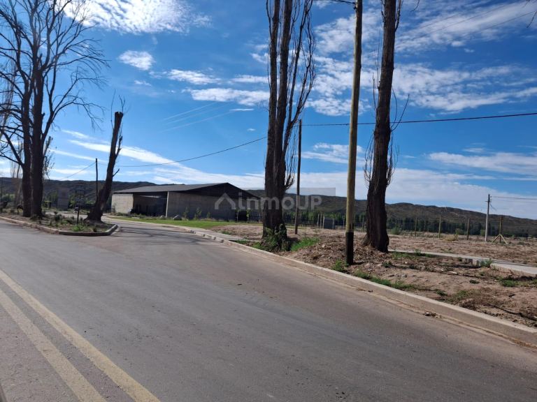 Lote en Venta en Lujan de Cuyo, Mendoza