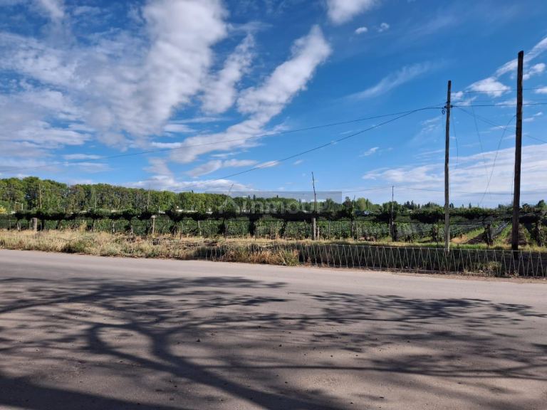 Lote en Venta en Lujan de Cuyo, Mendoza