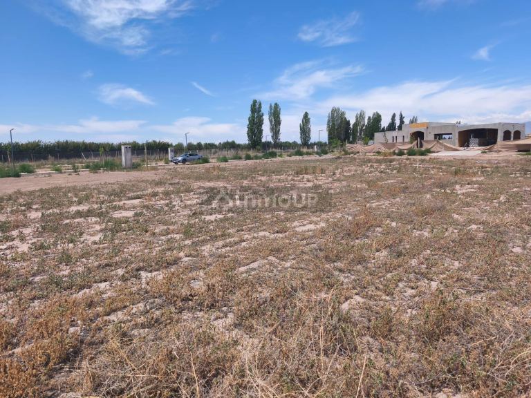 Lote en Venta en Lujan de Cuyo, Mendoza