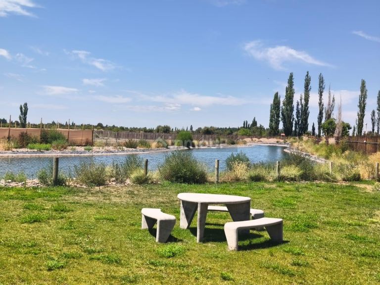 Lote en Venta en Lujan de Cuyo, Mendoza