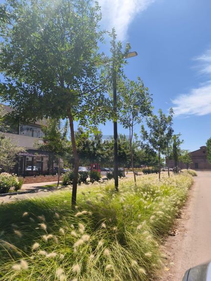 Lote en Venta en Lujan de Cuyo, Mendoza