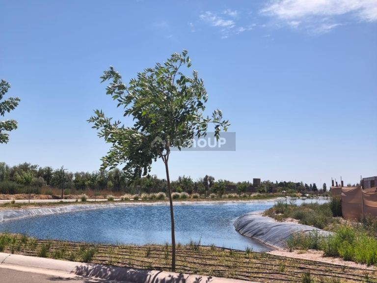 Lote en Venta en Lujan de Cuyo, Mendoza