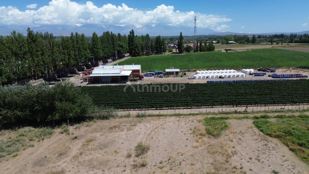Terreno en Venta en Tupungato, Mendoza