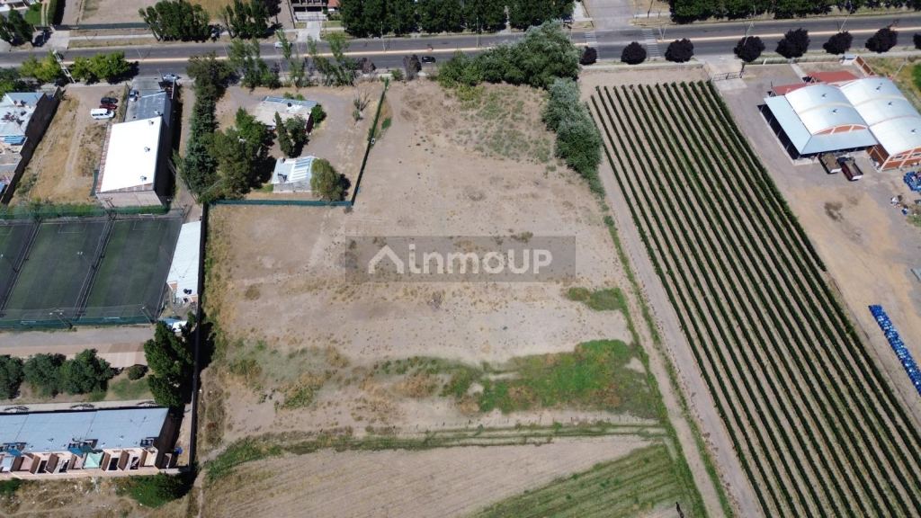 Terreno en Venta en Tupungato, Mendoza