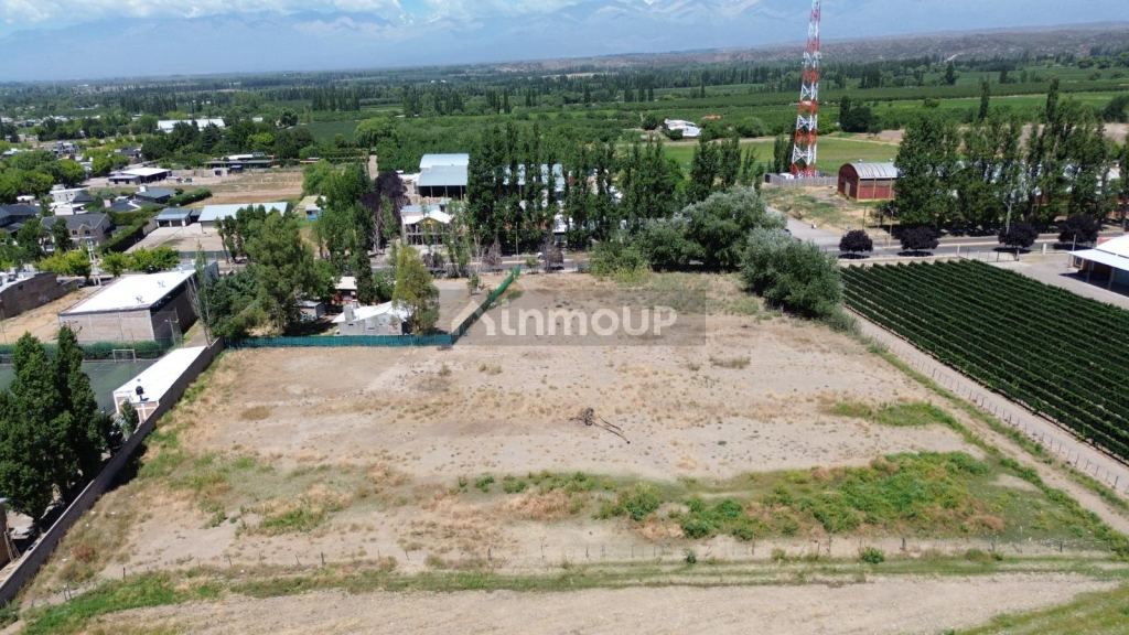 Terreno en Venta en Tupungato, Mendoza