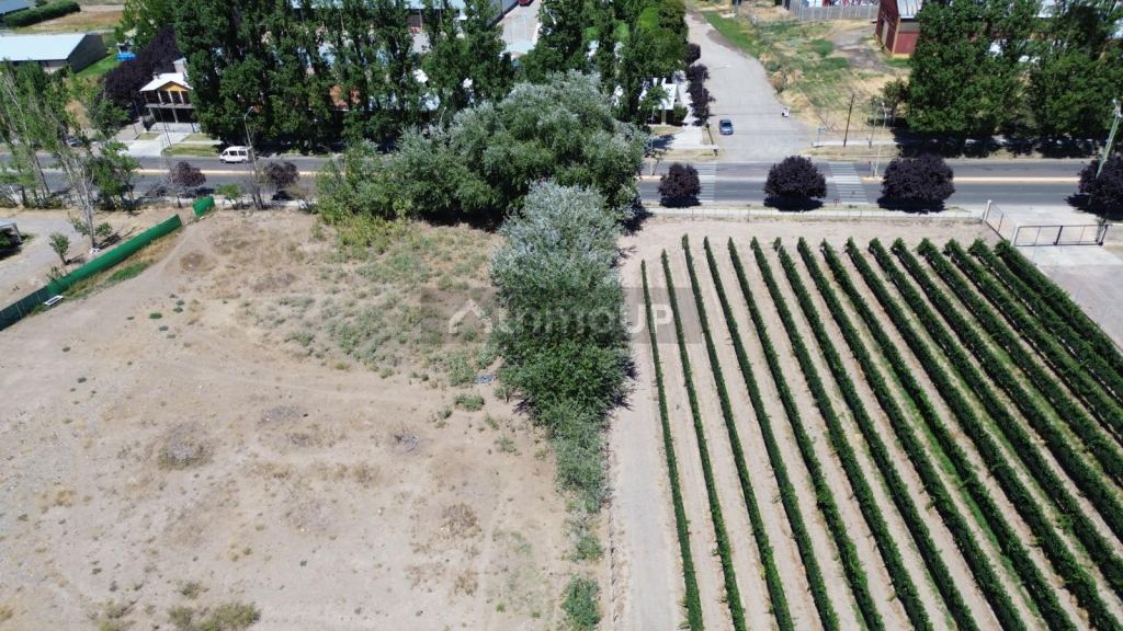 Terreno en Venta en Tupungato, Mendoza