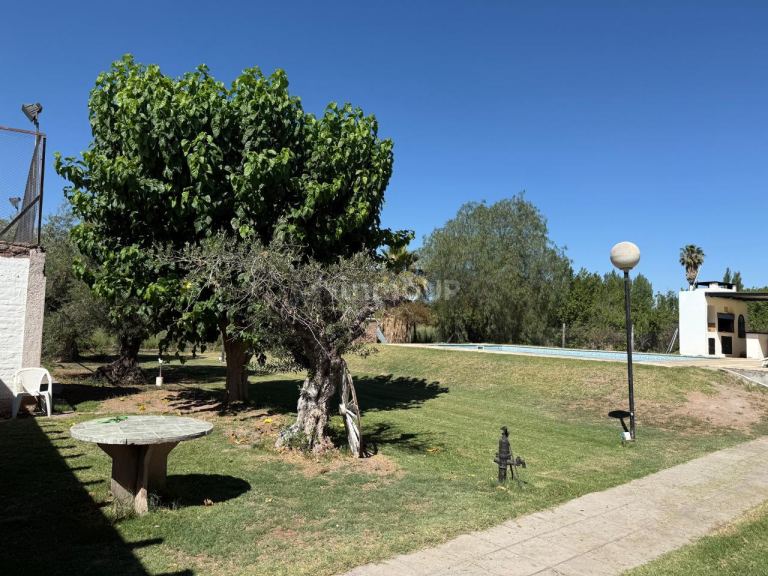 Finca en Venta en Maipu, Mendoza