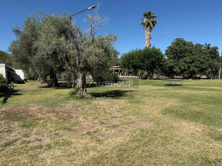 Finca en Venta en Maipu, Mendoza