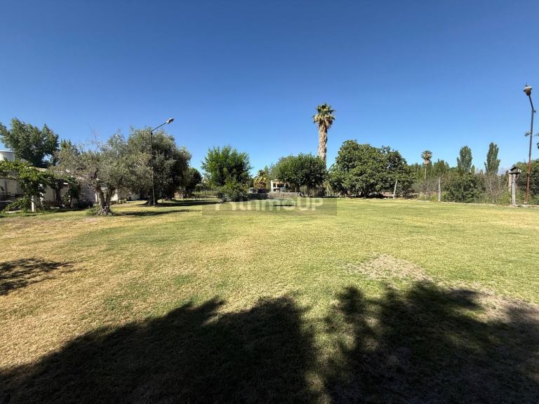 Finca en Venta en Maipu, Mendoza