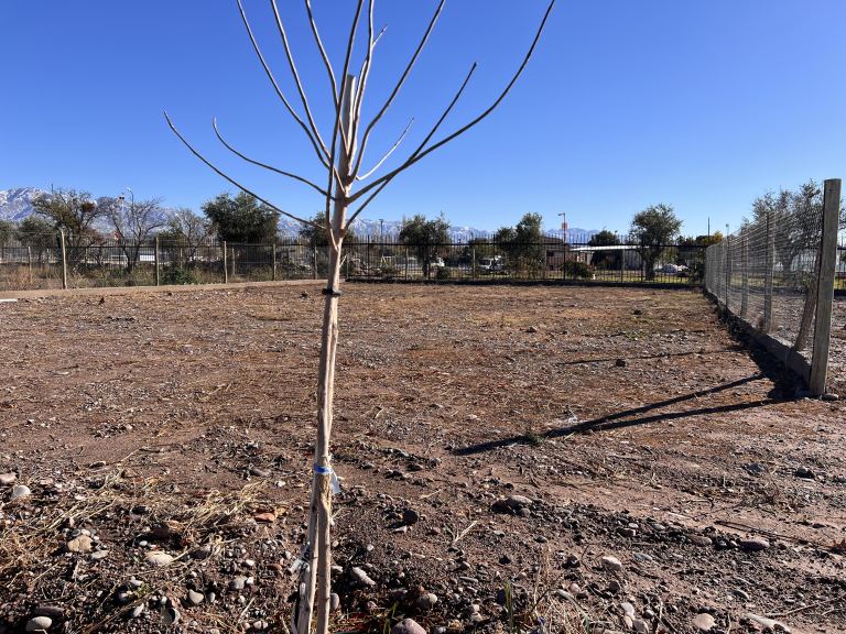 Lote en Venta en Lujan de Cuyo, Mendoza