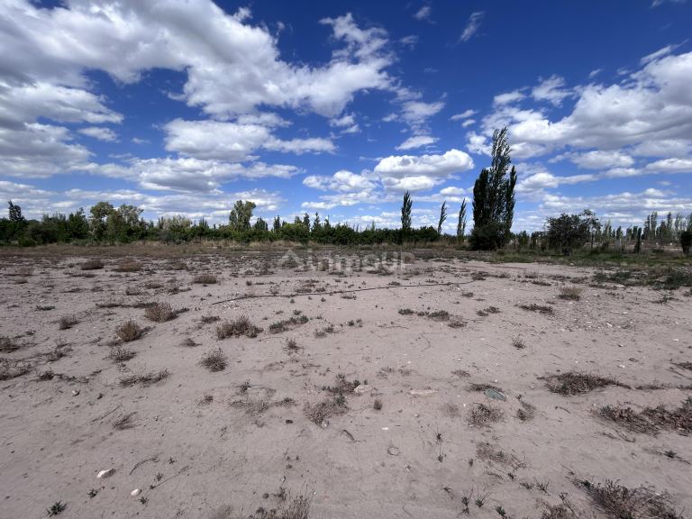 Terreno en Venta en Lujan de Cuyo, Mendoza