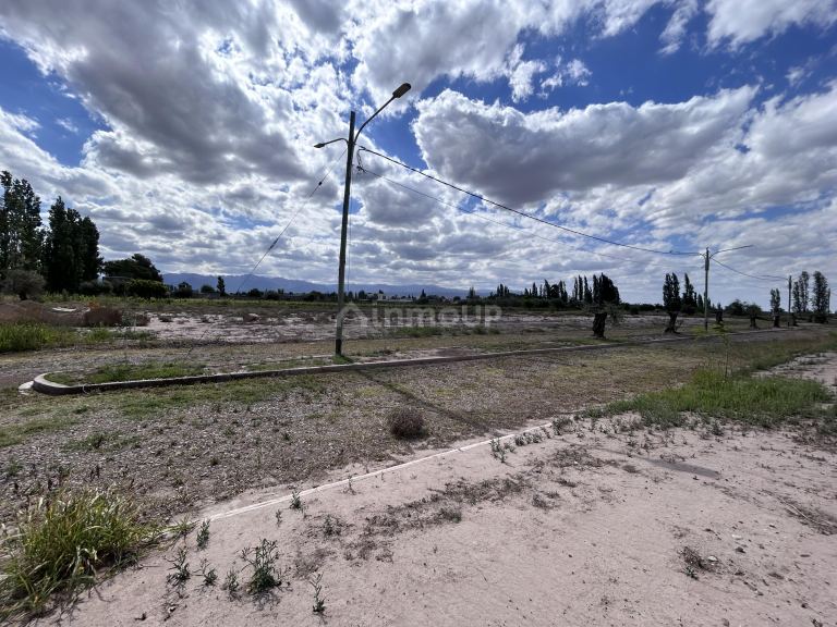 Terreno en Venta en Lujan de Cuyo, Mendoza