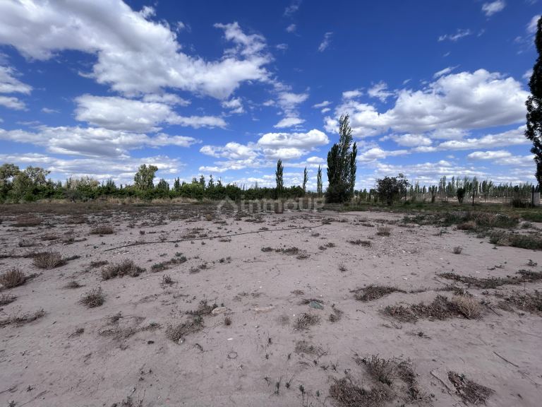 Terreno en Venta en Lujan de Cuyo, Mendoza