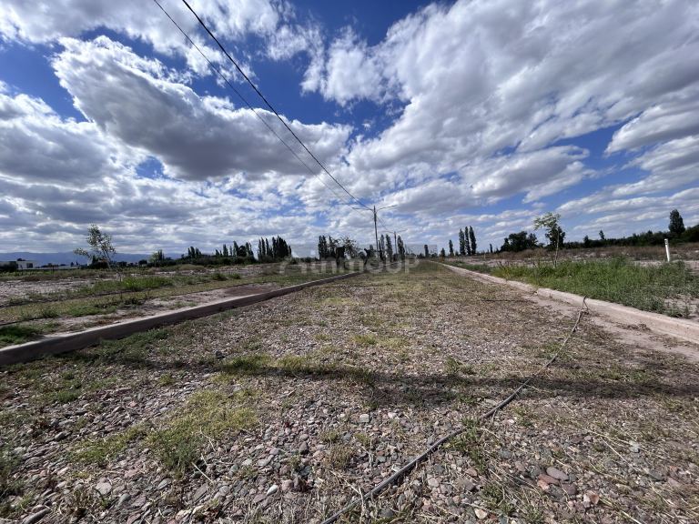 Terreno en Venta en Lujan de Cuyo, Mendoza
