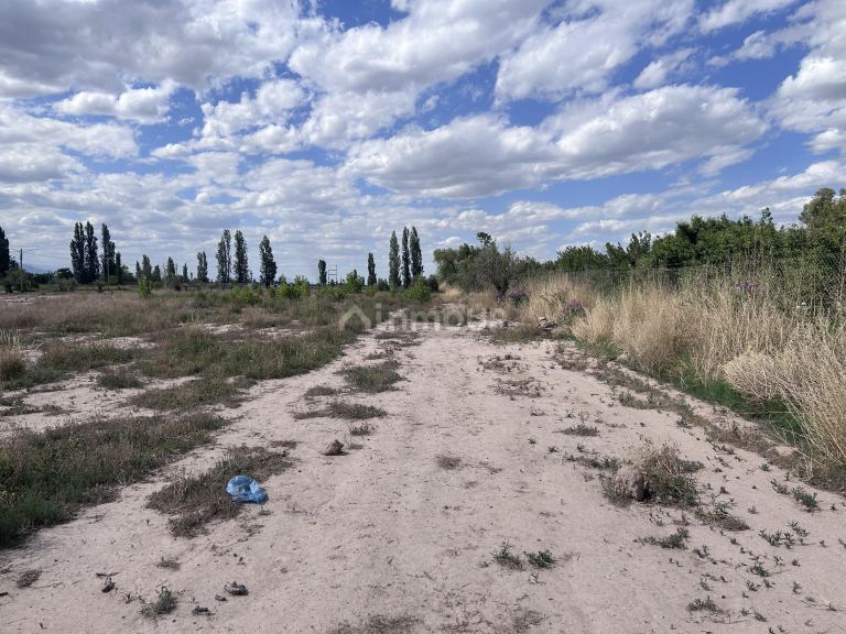Terreno en Venta en Lujan de Cuyo, Mendoza