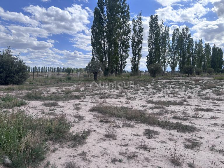 Terreno en Venta en Lujan de Cuyo, Mendoza