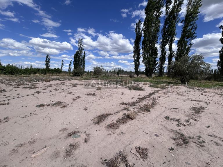 Terreno en Venta en Lujan de Cuyo, Mendoza