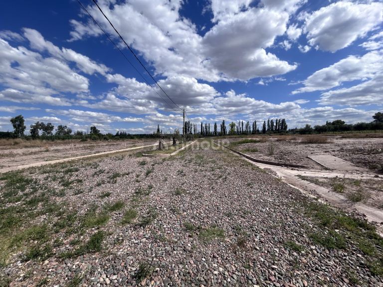 Terreno en Venta en Lujan de Cuyo, Mendoza