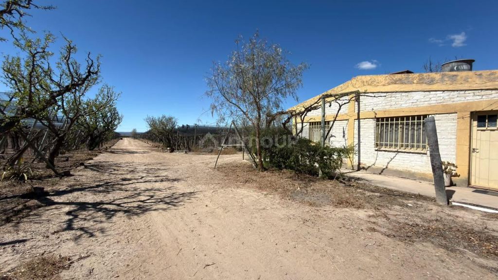 Finca en Venta en Lujan de Cuyo, Mendoza - USD 220.000 | Inmoup - 18