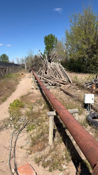 Finca en Venta en Lujan de Cuyo, Mendoza - USD 220.000 | Inmoup - 11